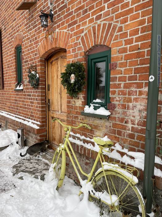 Leon — kot Gajówki, agroturystyka pet-friendly Leśniewo Mazury